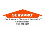 SERVPRO_square1 copy