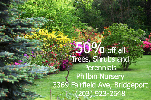 flowering-trees-shrubs-perennials-charleston-sc-img copy