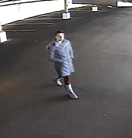 Norwalk parking garage thief