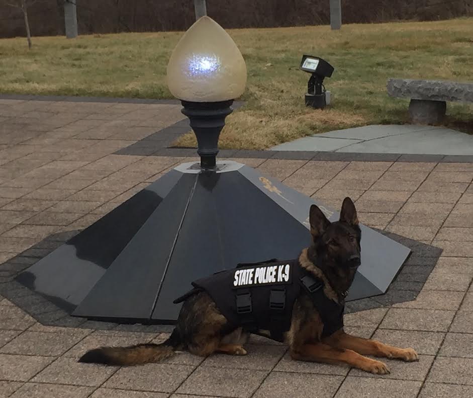 State police k-9