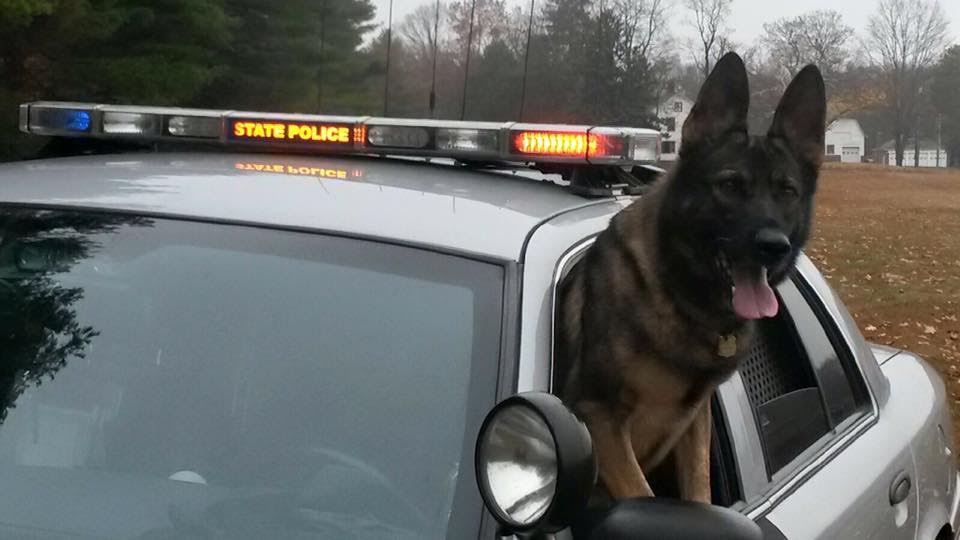 state police k-9 body armor