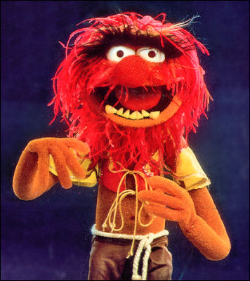 Animal_bluebackground