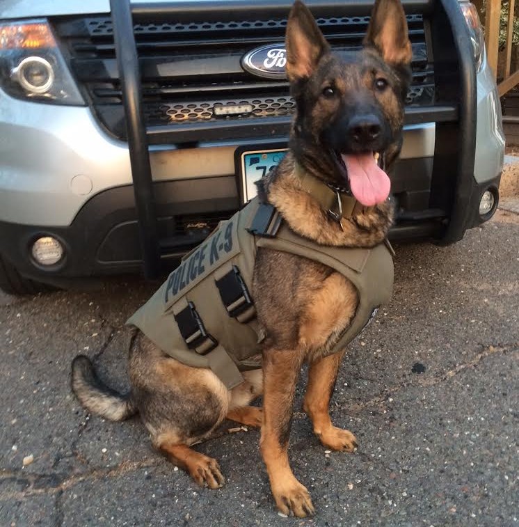 state pd police dog