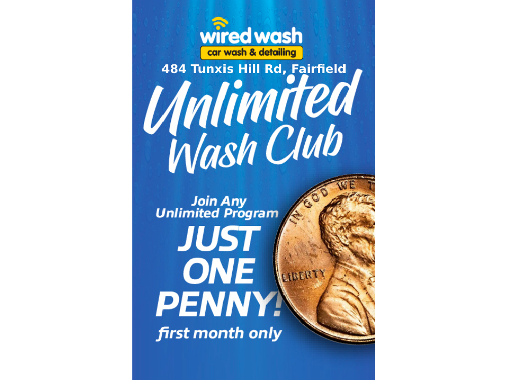 Wired Wash Penny