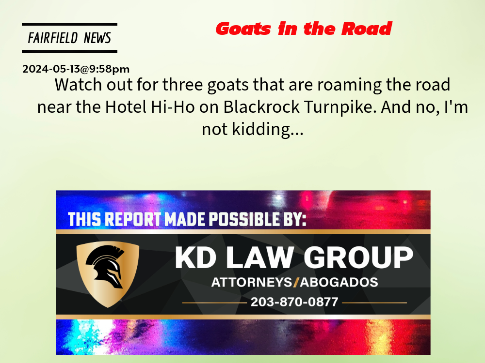 Fairfield News: Goats in the Road
